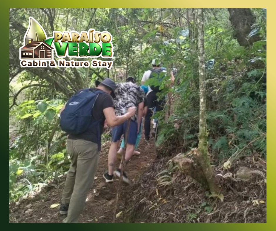 Un Paraíso Verde en la Montaña de Costa Rica gg (10)