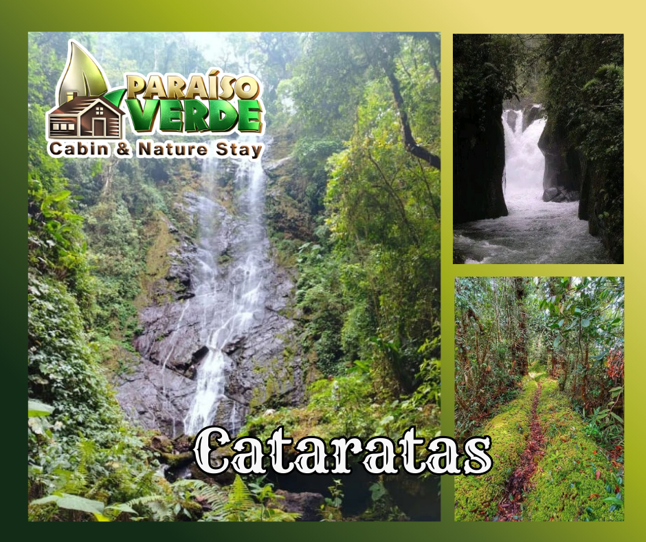 Un Paraíso Verde en la Montaña de Costa Rica gg (2)